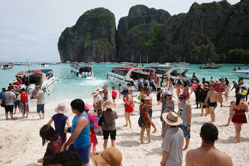 The Beach movie location on Thai island to be shut for 4-month