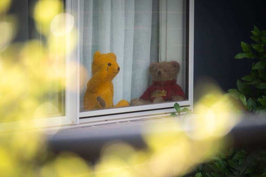 Two bears sit at a window.