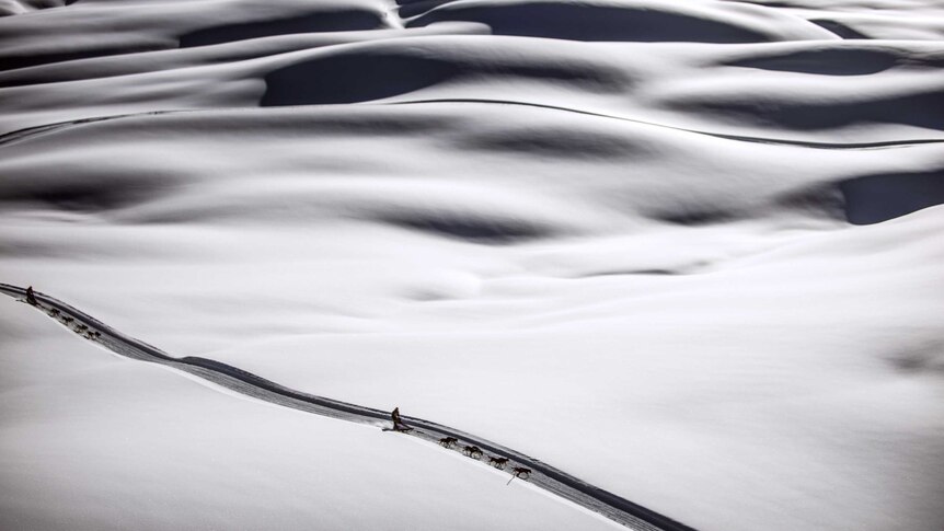 Mushers compete during the Grande Odyssee sledding race.