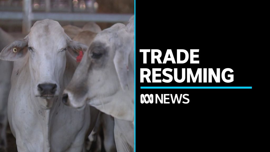 Sunday September 10 Full Program - ABC News