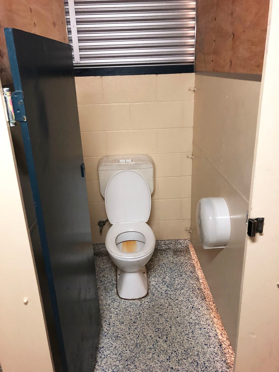 'Disgusting' primary school toilets so bad children 'hold on' all day