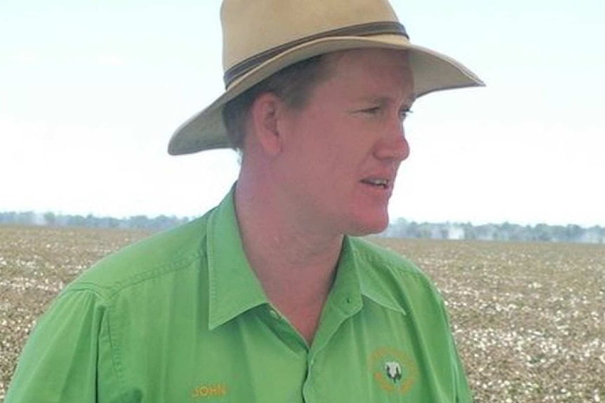 Cotton farmer, John Norman