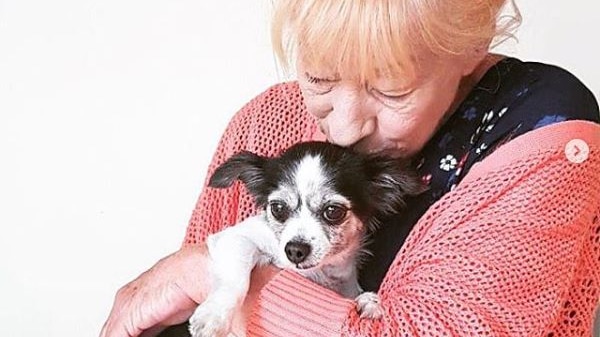 A woman sitting down holding her pet chihuahua in her arms