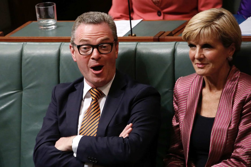 Christopher Pyne reacts with a surprised look while in Parliament