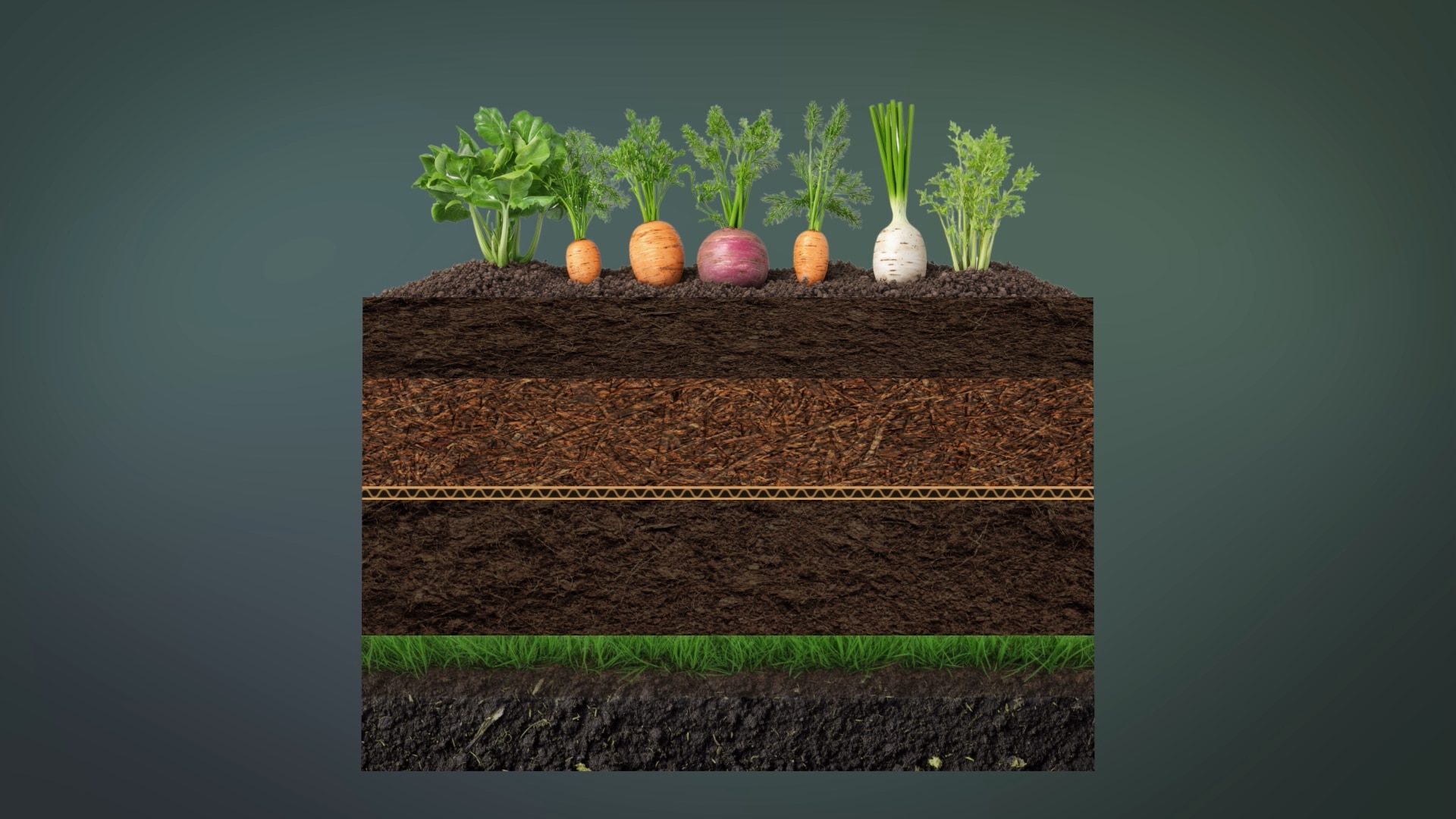 Save money on groceries with 'relatively little effort' by home gardening
