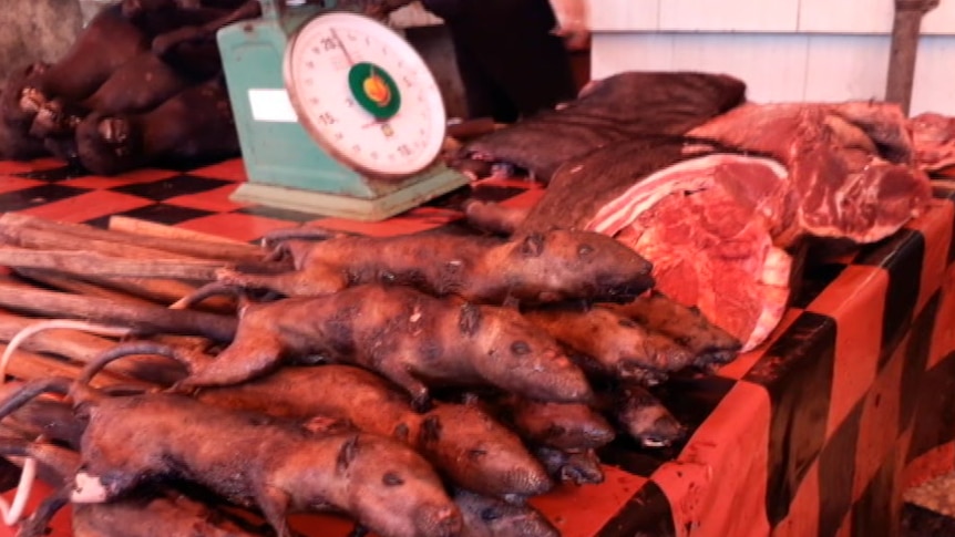 Rats and other meat are on display on a table for sale at a market in Indonesia.