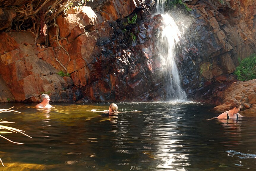 Three people swim in a natural pond fed by a small waterfall.