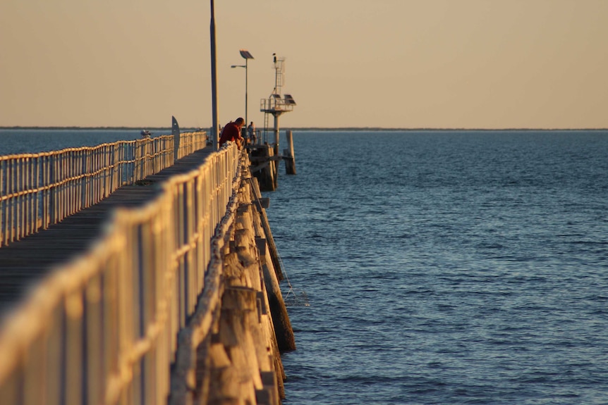 Pulling a crab pot in, Port Germein jetty