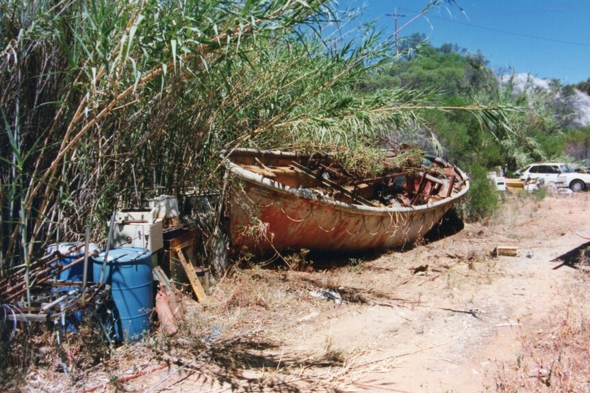 An open-ended lifeboat sits in the reeds.
