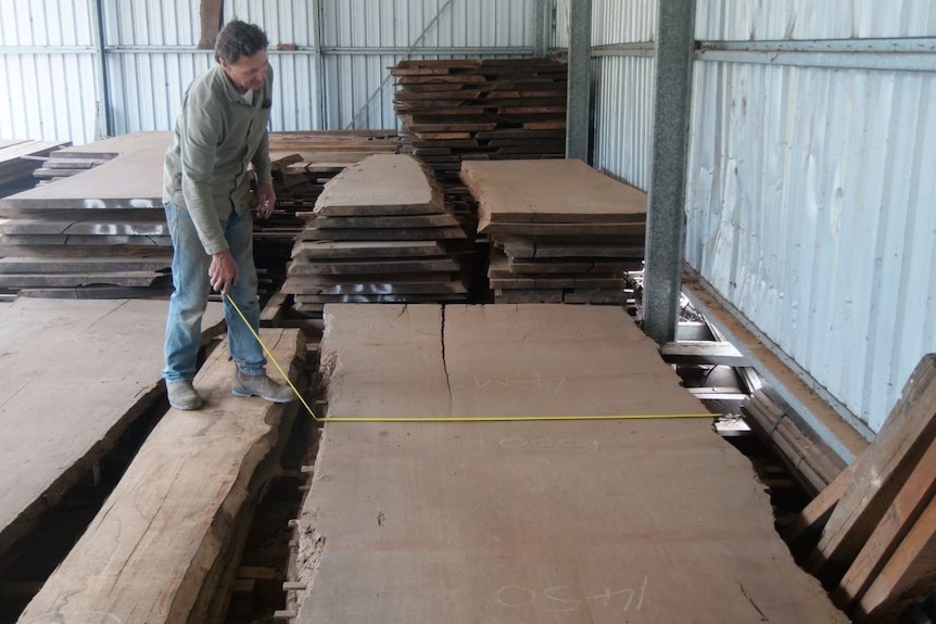 A man measuring a piece of timber 