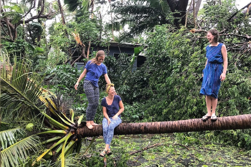 Three women stand on a fallen palm tree.