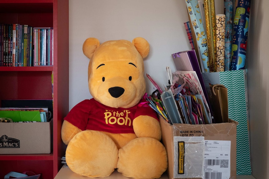 Winnie the Pooh toy and wrapping paper.