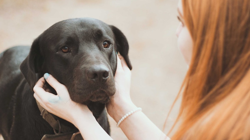 Woman holds dog's face in her hands