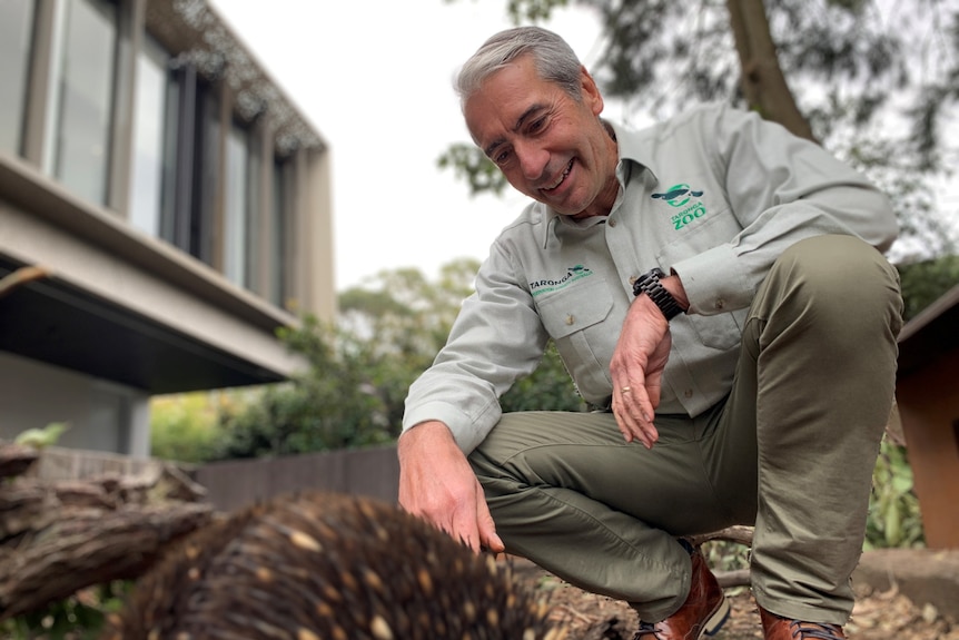 A man in a khaki uniform crouches by an echidna