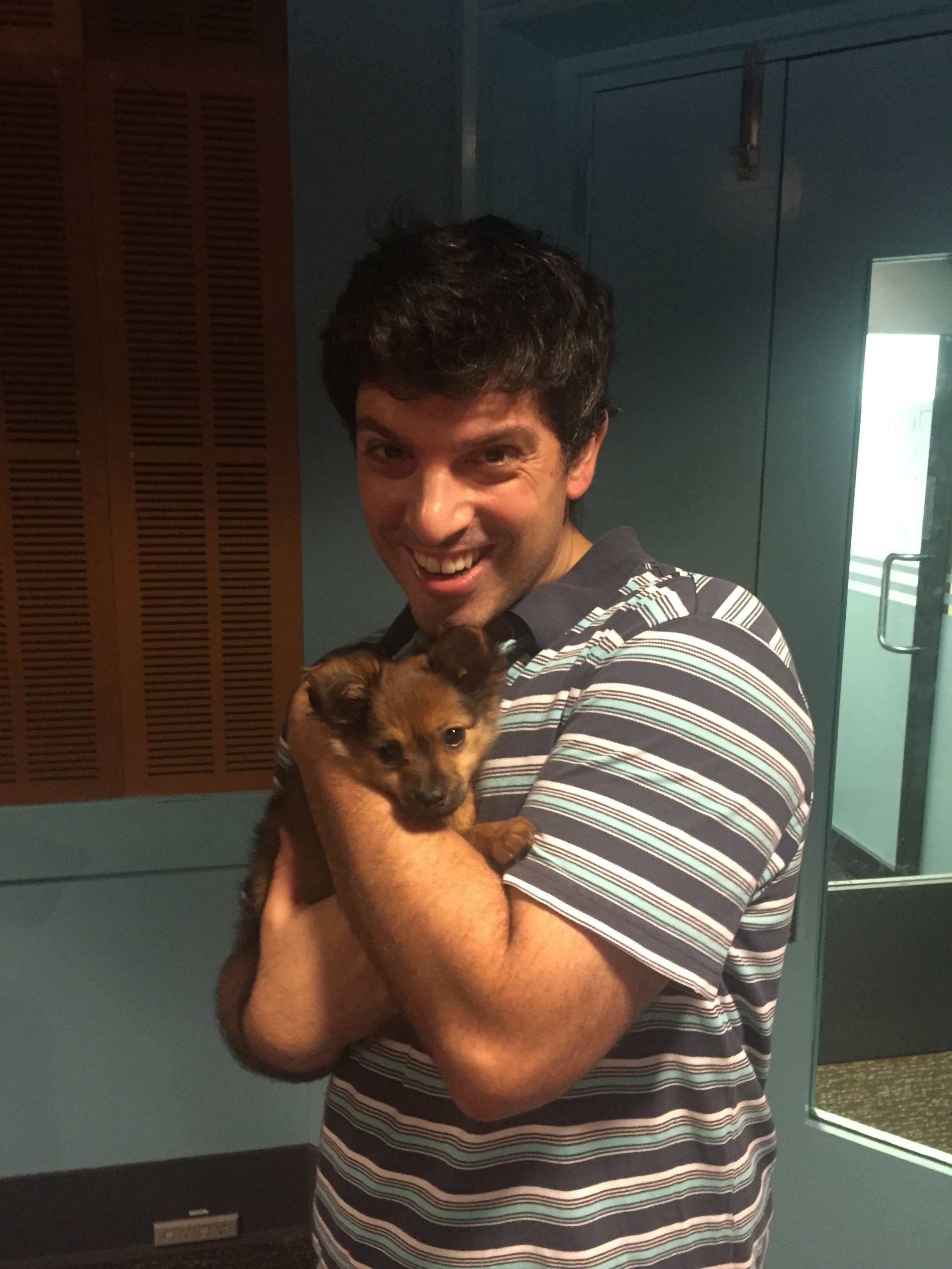 Dogs - ABC Radio National
