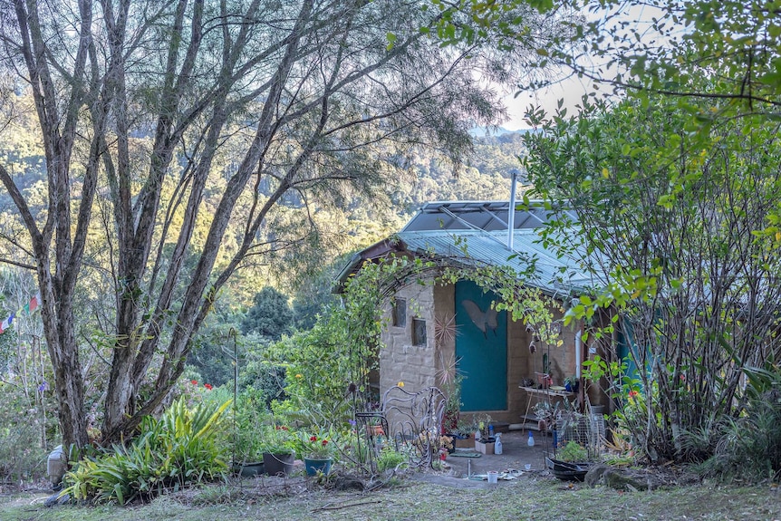 A house in the trees