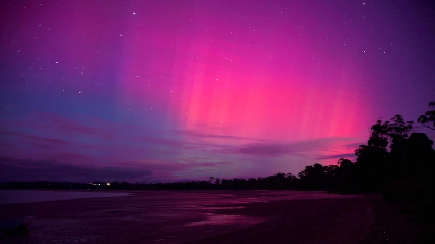 Pink lights in the sky over a beach