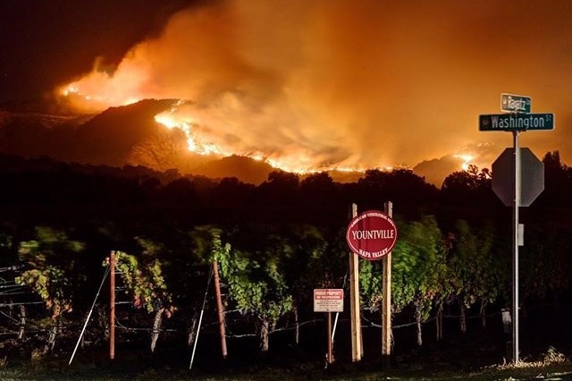 Wildfires burn behind the vineyards in Napa Valley