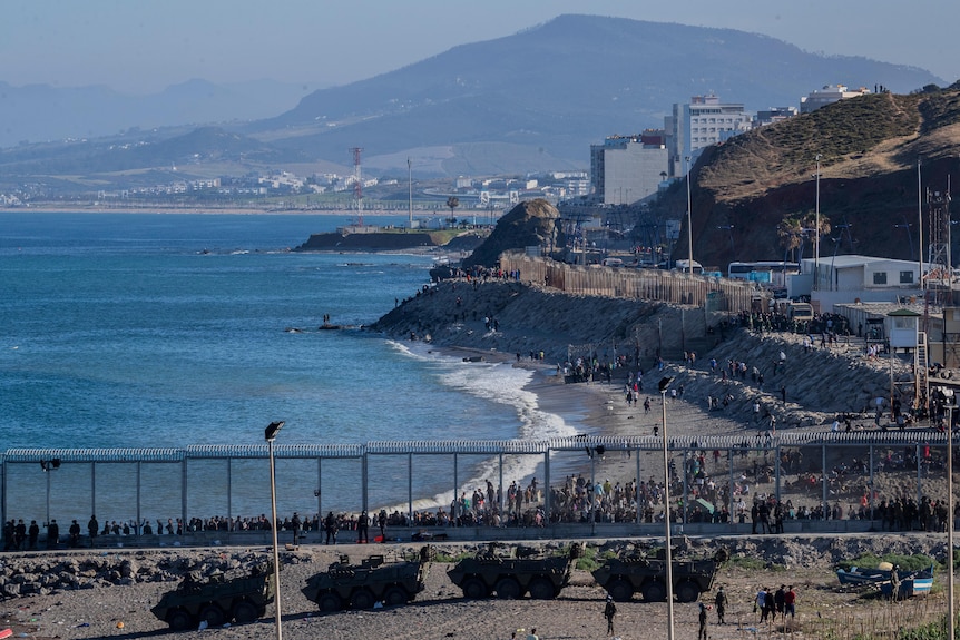 Spanish tanks wait in front of a tall fence with a large number of people behind it 