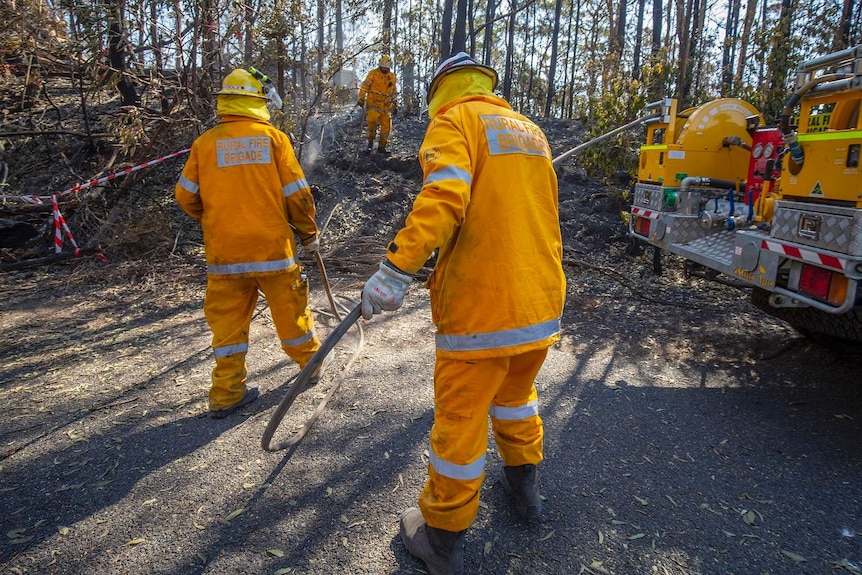 Three rural firefighters unroll a hose down smouldering bush after fires  in Binna Burra.