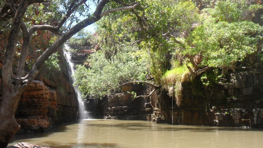 A deep green pool surrounded by rocks and trees with a waterfall