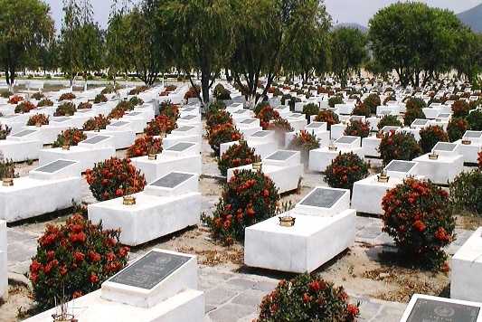 Rows of graves in a cemetery.