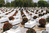 Rows of graves in a cemetery.