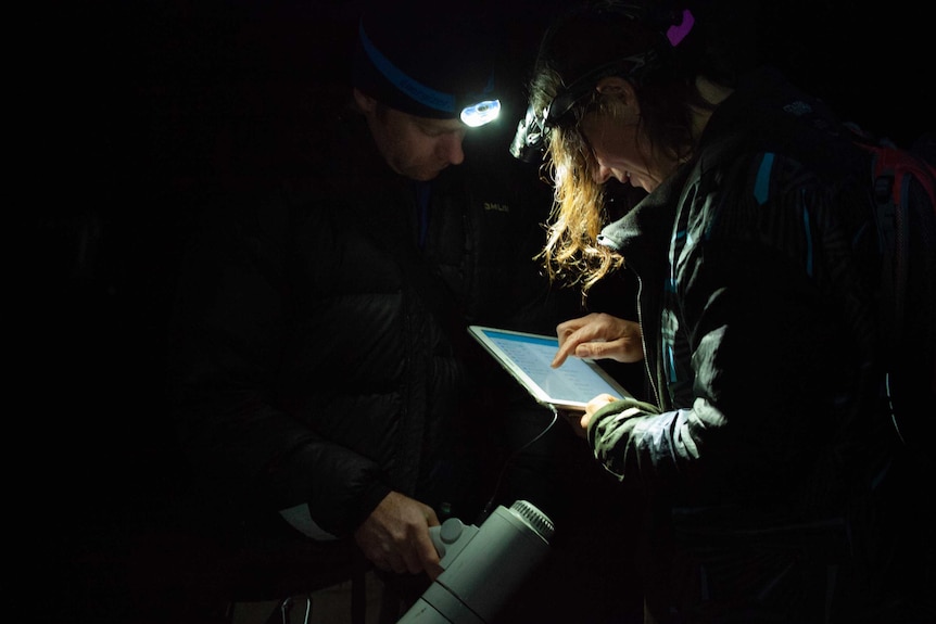 Researcher looks at an iPad in the dark while wearing a head torch.