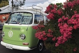 A green Kombi van is parked next to a flowering bush