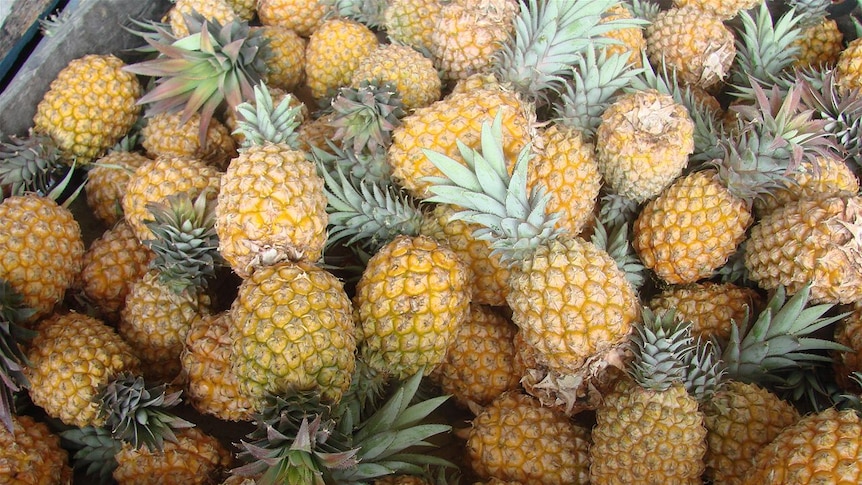 North Queensland pineapples