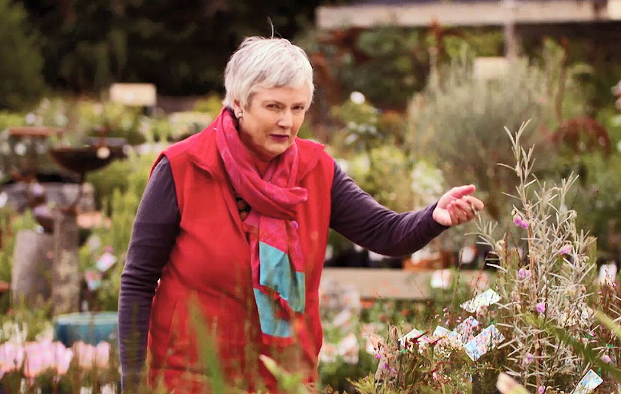 Gardening Australia recap A helpful duck and Costa channels Chance the