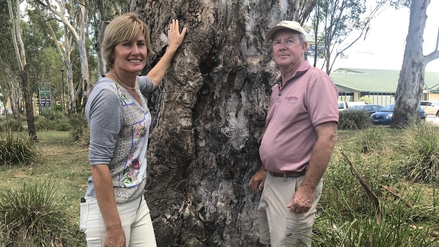 A woman and a man standing in front of a tree.