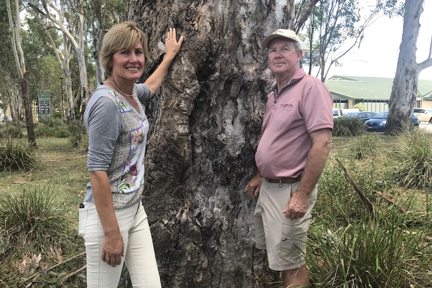 A woman and a man standing in front of a tree.