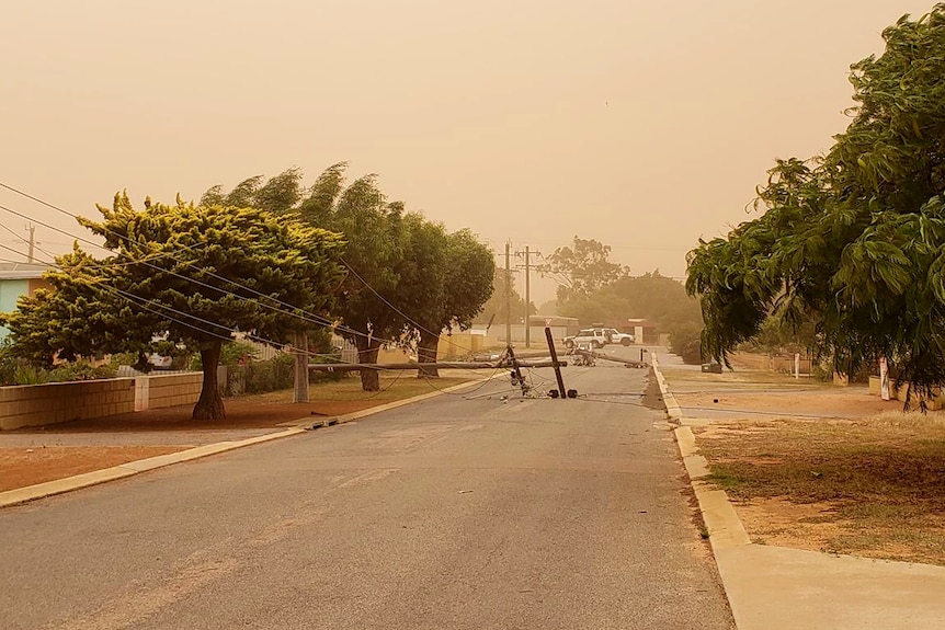 Powerlines strewn across a suburban street