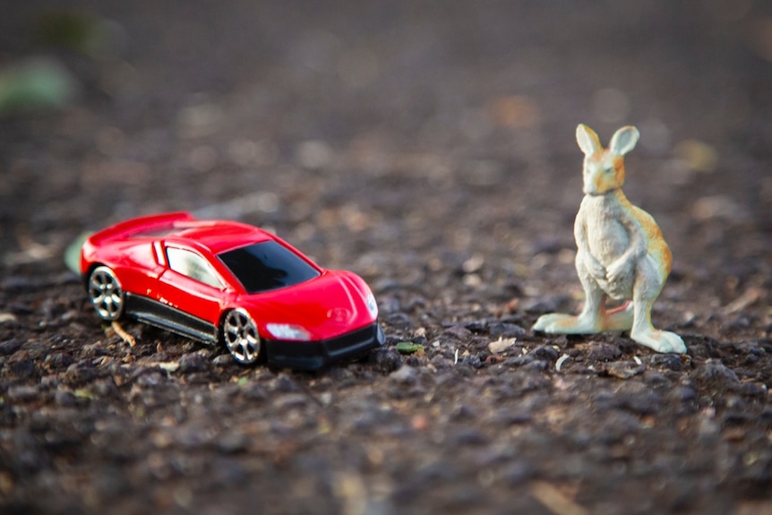 A toy car faces a toy kangaroo on some asphalt.