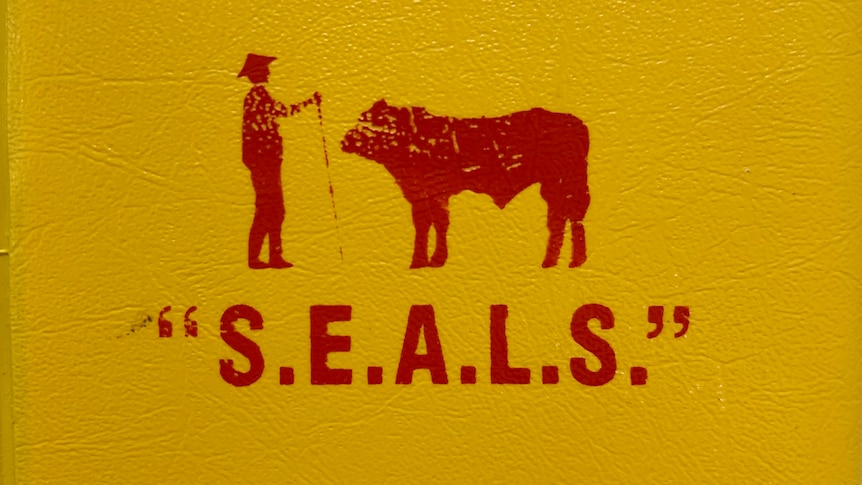 Logo of SEALS