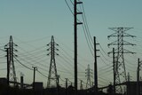 Electricity prices will rise when the carbon tax is implemented