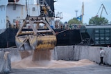 Workers load grain at a grain port using large machinery. 