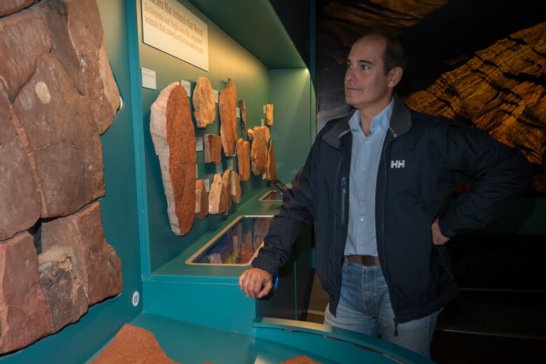 Paleontologist Diego C Garcia-Bellido looks at the Dicksonia rex in the Museum