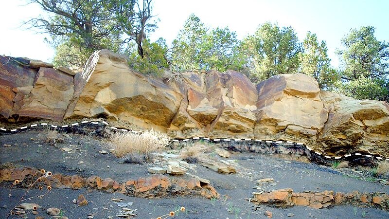 A dashed line between darker rocks and lighter rocks shows the Cretaceous-Tertiary boundary (K-T boundary)