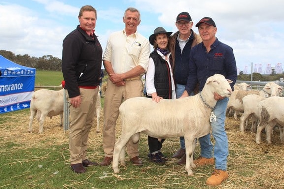 five people stand around a white sheep