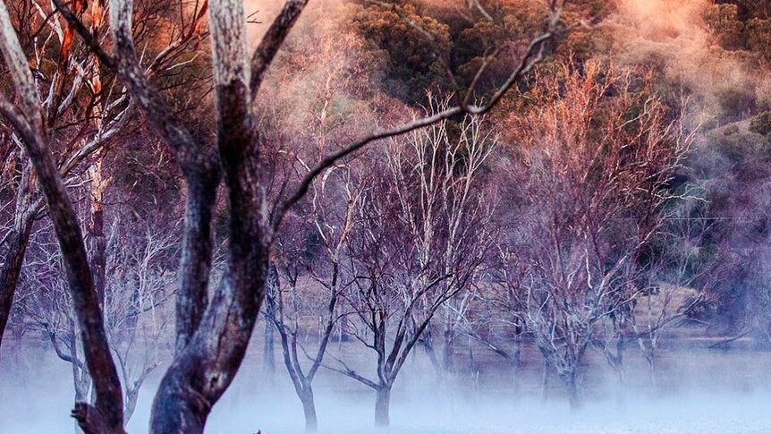 A slight mist covers Chaffy Dam, New South Wales, at sunrise.