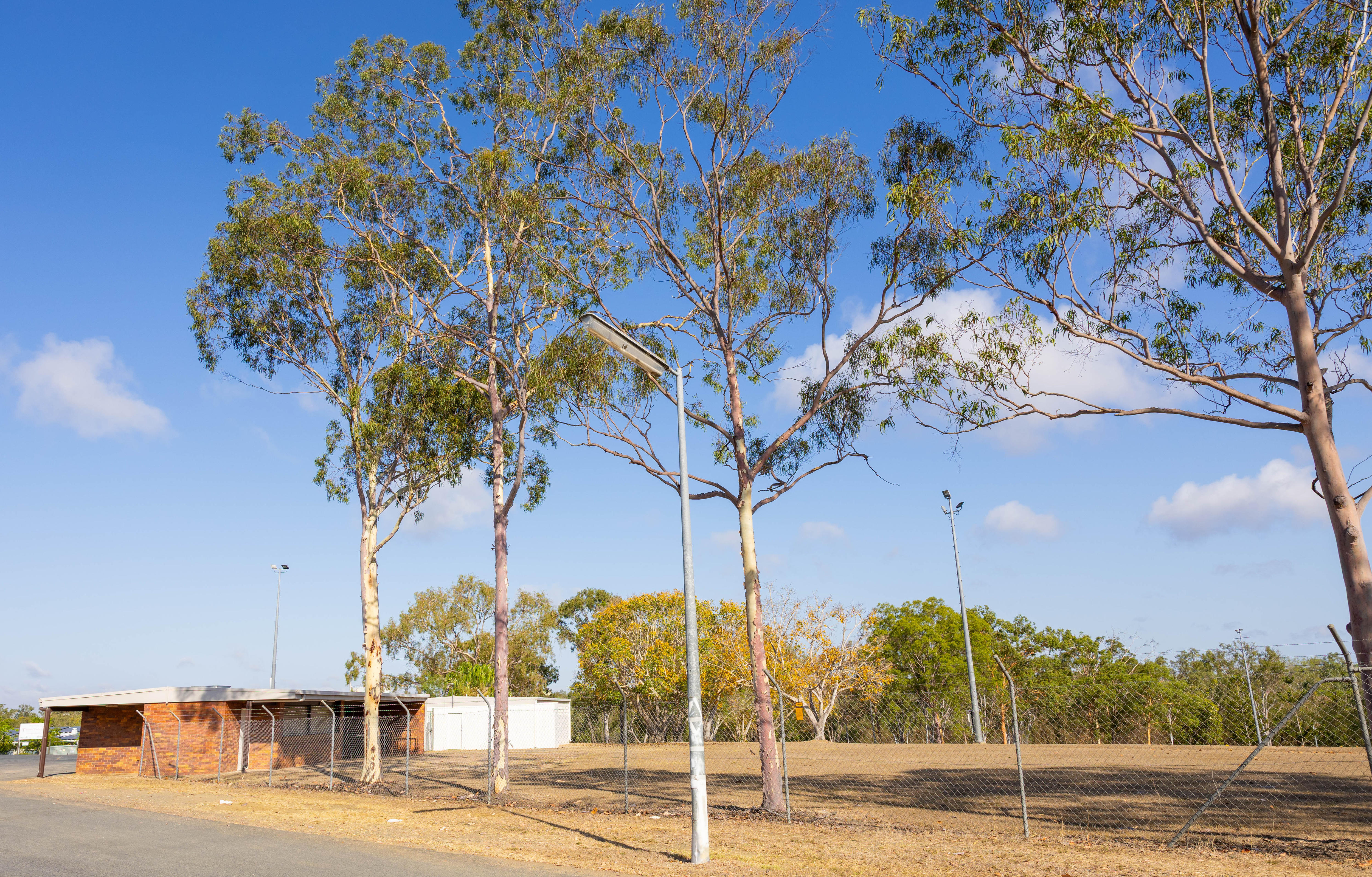 Um campo cercado com árvores e uma pequena construção de tijolos.