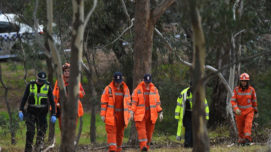 Two uniformed police and four SES personnel in orange uniforms conduct a line search in a park.