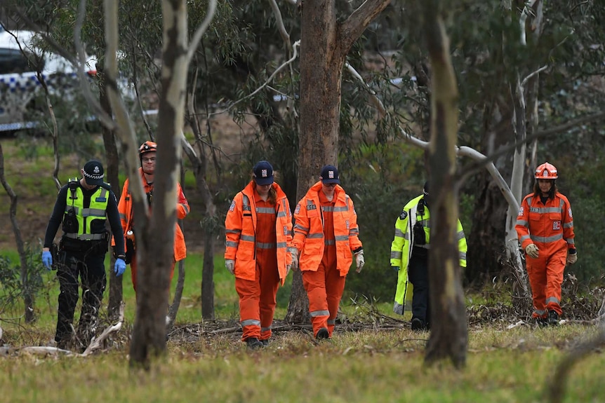 Two uniformed police and four SES personnel in orange uniforms conduct a line search in a park.