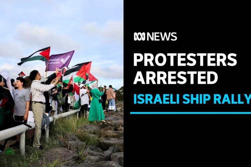 Protesters Arrested, Israeli Ship Rally: Protesters wave Palestinian flags.