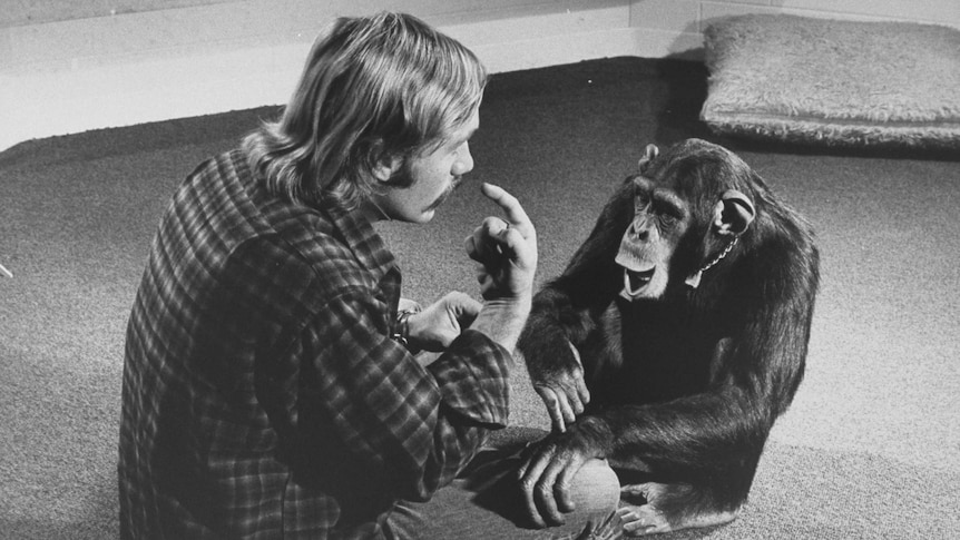 Man wearing shirt sits cross-legged on floor pointing to his mouth, facing chimp with her mouth open.