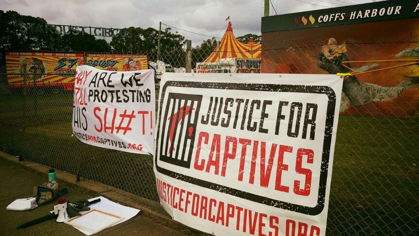 Sign reading 'justice for captives' outside the circus in Coffs Harbour.