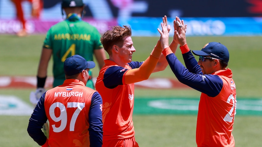 Netherlands' Fred Klaassen is congratulated after taking a wicket against South Africa