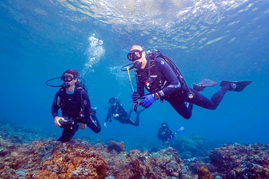 Two men in scuba gear under water